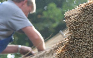 professional Shirley Warren thatchers