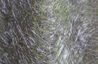 Shirley Warren fibreglass roof work